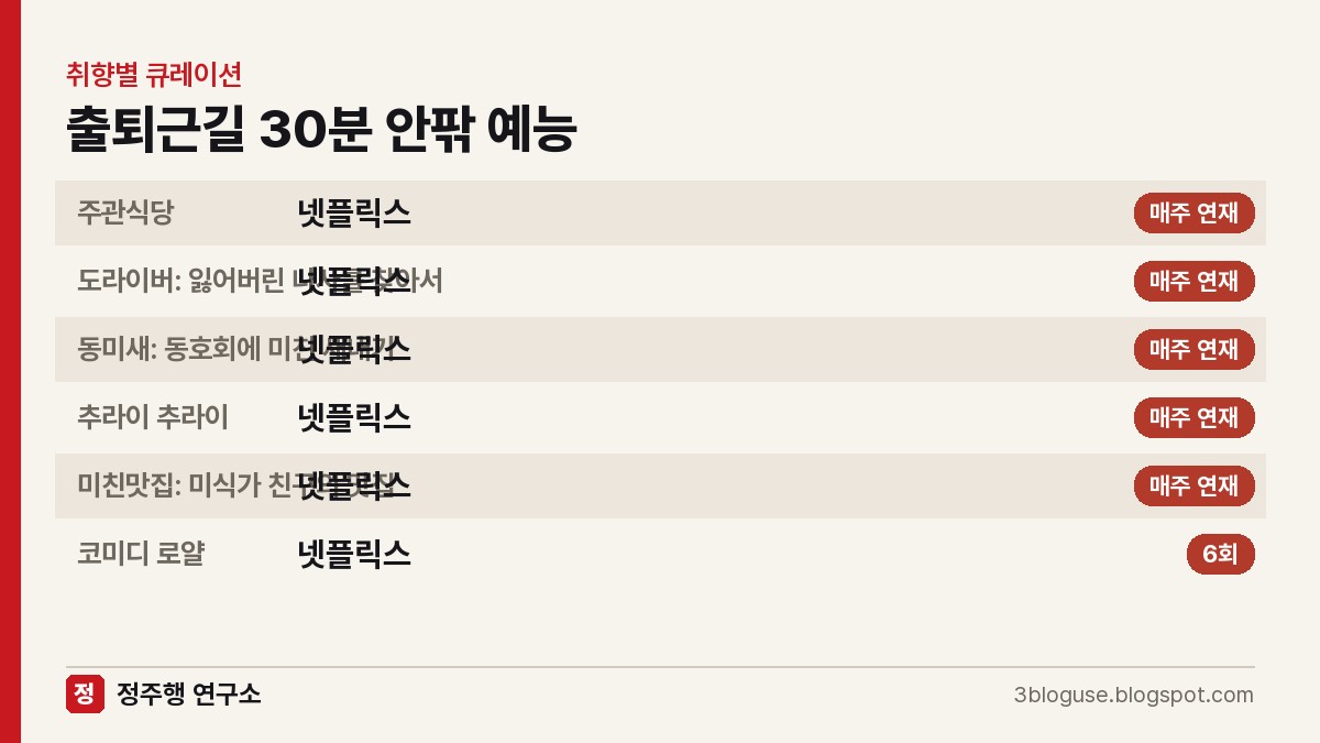 출퇴근길 30분 안팎 예능 추천, 넷플릭스 위주 6편 정리