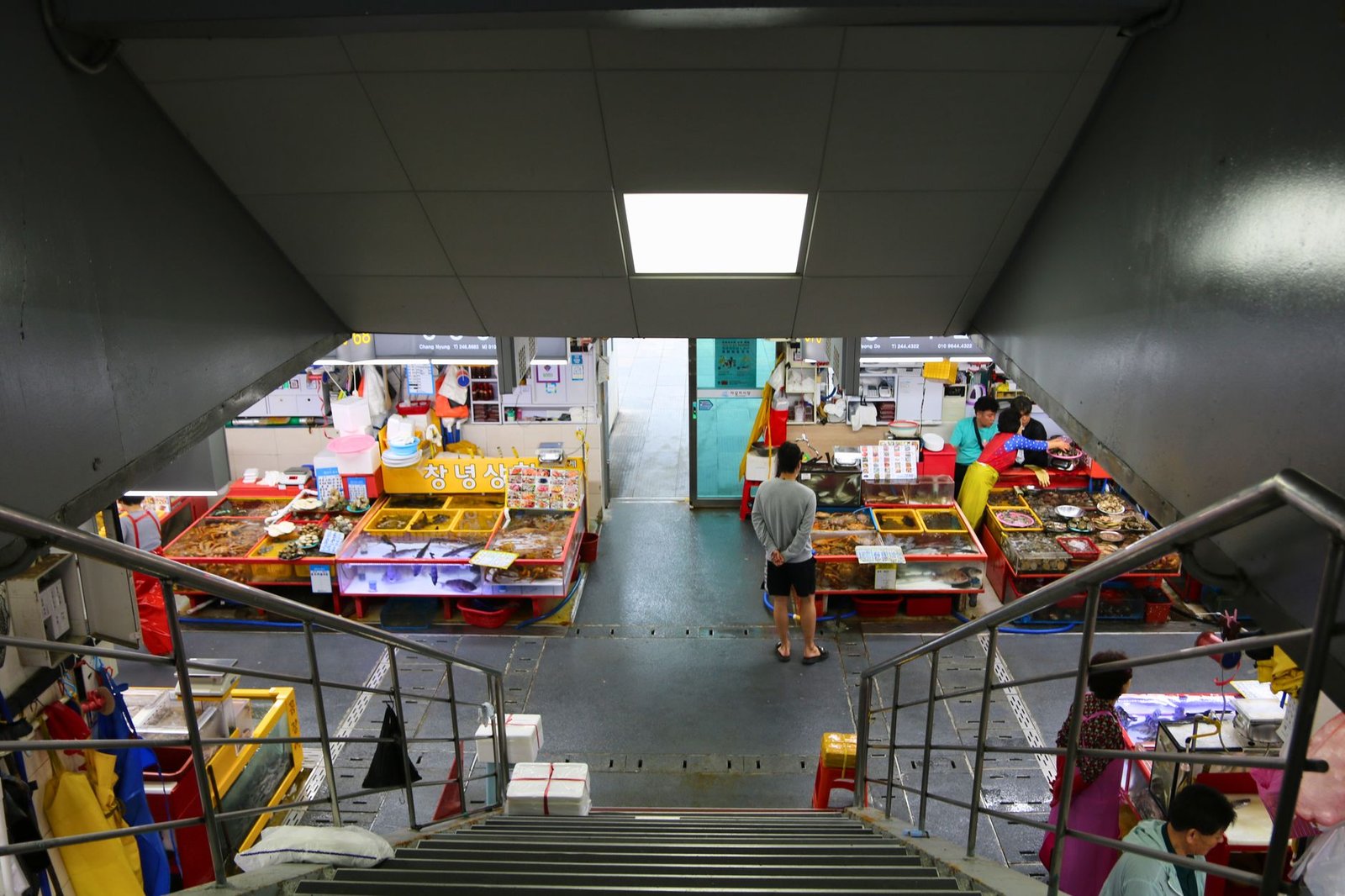 View from staircase of a bustling fish market in Busan, South Korea, showcasing various seafood stalls
