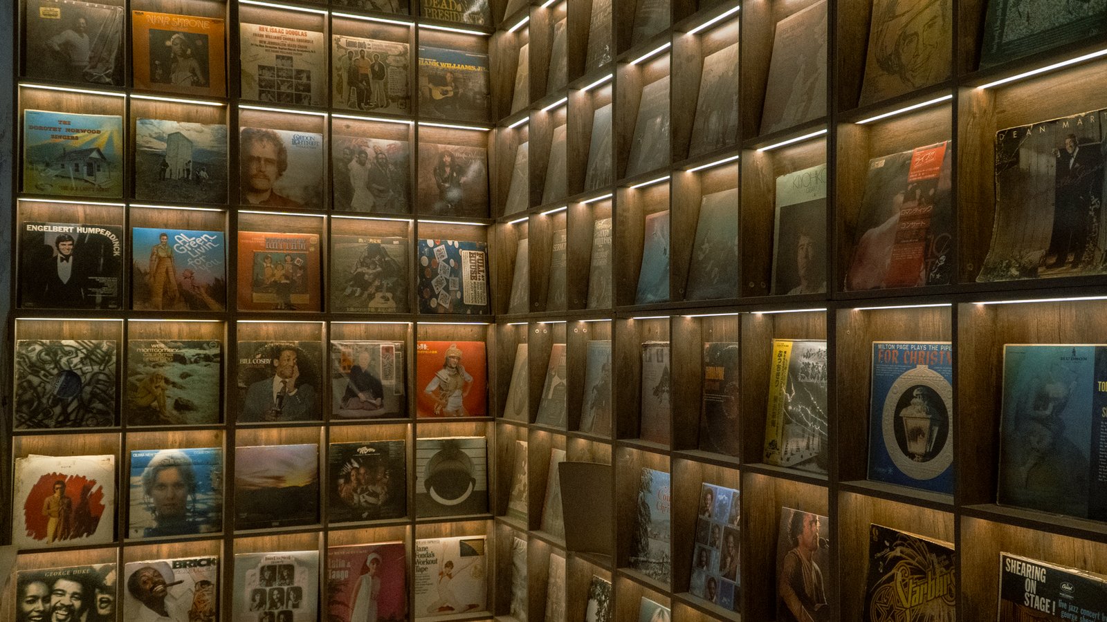 A wall of neatly arranged vintage vinyl records displayed on lit wooden shelves